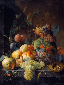 Still Life with Fruit